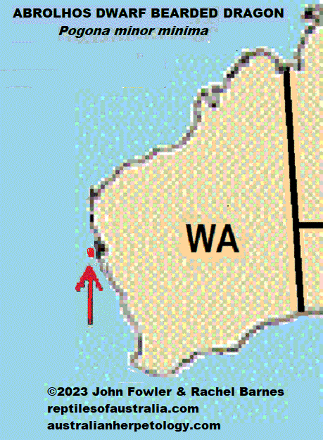 WESTERN BEARDED DRAGON Pogona minor minima REPTILES OF AUSTRALIA map